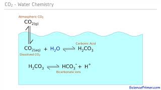 Carbonate Buffering