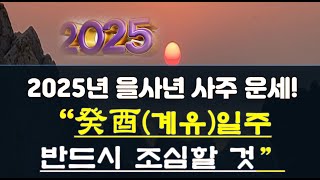 2025년 을사년 운세! 태어난 사주가 癸酉(계유) 일주들의 재물복,돈복,건강운 및 반드시 조심(?)해야 하는 것들.