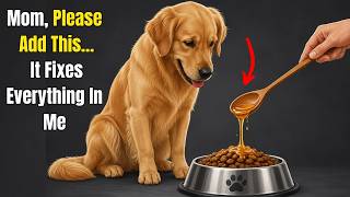 If You Add This to Your Dog’s Food, It Fixes Almost Everything & Makes Them Happier