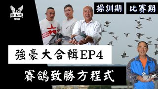 【強豪大合輯EP4】操訓期、比賽期賽鴿致勝方程式 ｜耐翔購