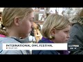 international owl festival this weekend