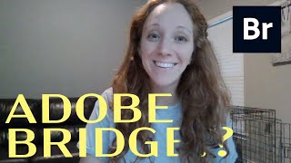 What's the point of Adobe Bridge?