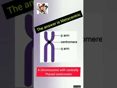 What is the length of the chromosome?