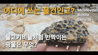 산에서 물고기 비늘이 왜 보일까?#minerals#mica#운모#광물#천영광물#백운모