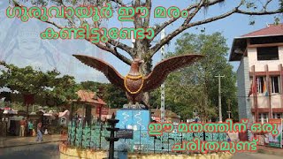 How did manjula Tree Get That  Name / Guruvayoor Manjulal Tree / Guruvayurappan #history #facts