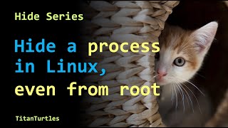 Hide Series: Hide Process in Linux even from root User