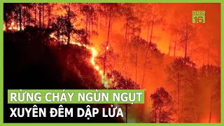 Cháy rừng liên tiếp, nguyên nhân do đâu? | VTC16