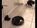 robotic vacuum cleaner lights up the cat coredy robot r500 mop u0026 vacuum