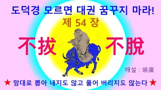 도덕경 모르면 대권 꿈꾸지 마라! 제54장- 不拔不脫 맘대로 뽑아내지도 않고 풀어버리지도 않는다. #노자 #도덕경 #노자도덕경 #가정 #나라 #천하 #대권 #꿈 #천하 #도 #포용