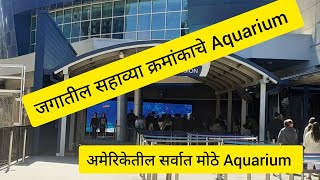 जगातील सहाव्या क्रमांकाचे मत्सालय (Aquarium) |America's Largest Aquarium |Marathi |Georgia Aquarium