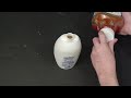 scientific tuesdays ketchup buckshot science prank