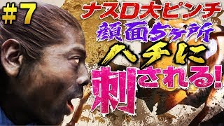 【#7】ナスD大ピンチ顔面5ヶ所ハチに刺される！編