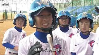 硬式少年野球大会　「NOMOカップ」1日開幕