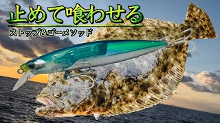 【ヒラメ釣り】テトラからミノーを投げたらヒラメが釣れる【フラットフィッシュ】