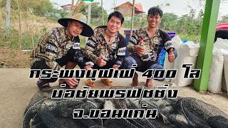 กระพงบุฟเฟ่ 400 โล บ่อชัยพรฟิชชิ่ง จ.ขอนแก่น