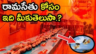 రామసేతు కోసం ఇది మీకుతెలుసా.? | #interestingfacts | #telugufacts #youtubeshorts #shorts #Ramasethu