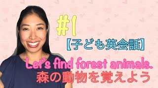 #1 【子ども英会話】let’s find forest animals! 森の動物を見つけよう！