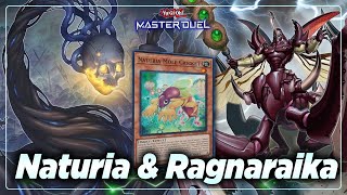 Naturia Ragnaraika is ACTUALLY GOOD!!   | Master Duel Rank Match Replay | Yugioh 遊戯王 2024