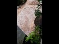 浮罗山背知知哥拉望瀑布水流急速