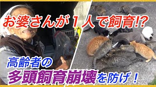 【ストップ多頭飼育崩壊】高齢者の多頭飼育崩壊から猫たちを救う！【社会問題】