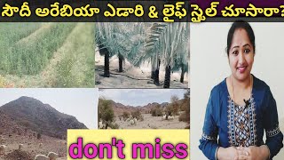 సౌదీ అరేబియా \u0026 ఎడారి ప్రాంతం లో లైఫ్ స్టైల్ చూసారా.? ఎడారిలో కొండల మధ్య పచ్చని పొలం \u0026 తోట చూస్తే..ఇక