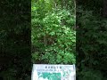 都立長沼公園