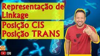 Posição CIS e Posição TRANS - Representação de Linkage - Linkage ou Genes Ligados - Genética