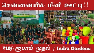 செடிகள் ₹10 ரூபாய் முதல் | Best Nursery garden in Chennai | Indra Gardens | Chennai bazaar