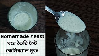 Yeast making at home | মাত্র দুটি উপকরণে সহজেই ইস্ট রেসিপি | ঘরে তৈরি ইস্ট কেমিকেল মুক্ত