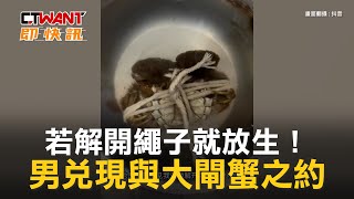 CTWANT 生活趣聞 / 若解開繩子就放生！　男兌現與大閘蟹之約