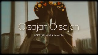 O Sajan O Sajan le geya tu mera man.💞LOFI (Slowed+Reverb)। Full song। Udit narayan,Yalka Agnik।