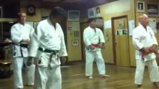 Okinawa kihon kata