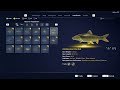 call of the wild the angler diamond wels catfish spain tutorial