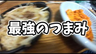 【無職日記】最強のつまみを作ってしまう無職