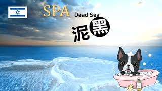 毛城城@香港寵物節2021 直播 - SPA 死海溫泉寵物產品16/4/2021