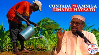 MUXAADARO CUSUB 06.03.2021 | Cuntada iyo amniga umadu haysato | Sh Mustafe Xaaji ismaaciil