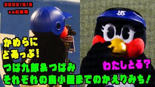 つば九郎＆つばみ　それぞれの鳥小屋までのかえりみち！！　2022/9/9 vs広島