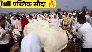 लासूर स्टेशन बैल बाजार येथे full पब्लिक सौदा. #lasurstation #bailbajar #शेतकरी #farming #नाद #लासूर