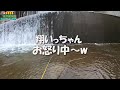 祝2024渓流釣り解禁！『低水温は〇〇して釣れ！！』水温２℃雪中釣行～　in峡東漁協