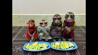 4 Siblings Sit Very WELL-BEHAVED With Their New Glasses Like A BOSS Waiting Mom To Feed The Dessert,