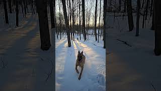 MR AND MS BEAUTIFUL BEING THE BEST LISTENERS EVERY ON A BEAUTIFUL SUNNY SNOWY MORNING.