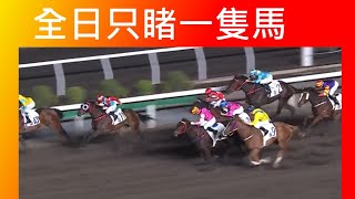 [香港賽馬貼士] 2025年01月12日 全日只睹一隻馬