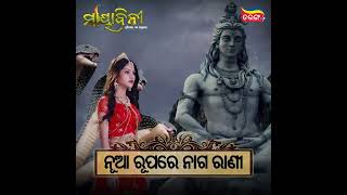 Mayabini | Best Serial | Mon to Sat at 6:30 PM | Mega Serial | Tarang Plus