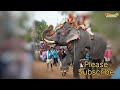 ഭാവി താരങ്ങളായ പത്ത് കുട്ടിയാനകള്‍ top 10 elephants.