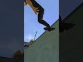 Trueskater￼