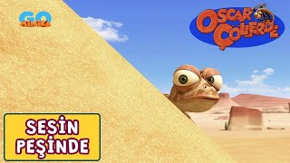 Oscar Çöllerde 🦎 | Sesin Peşinde | Minika