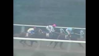 ダイイチルビー 1991年 第34回スワンステークス(GII) (優勝馬：ケイエスミラクル)