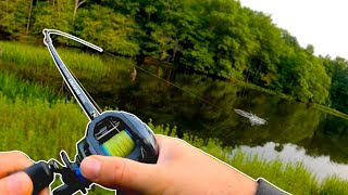 TOPWATER LARGEMOUTH on the fISHIinwithISH Buzzbait! | Mike Lands a GIANT! |