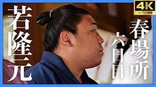 【若隆元 - 漣】大相撲 春場所 六日目。弟たち（若元春、若隆景）に続け、お兄ちゃん！連勝なるのか！？【三月場所｜大阪場所 sumo】Wakatakamoto Osaka 2024