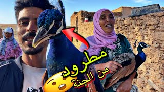 في البادية/ واش بصح مطرود من الجنة😲لموت ضحك 😂مع العائلة اول مرة غدي يشوفو طاوس🤣لوليدة عالام😂🤣